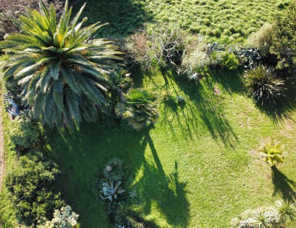 Vue aérienne du jardin exotique