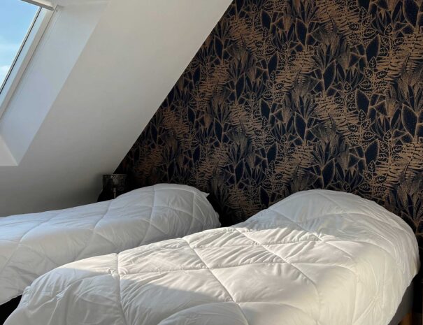 Chambre en version 2 lits simples