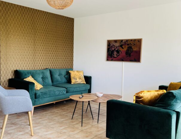 Salon avec smart TV Qled